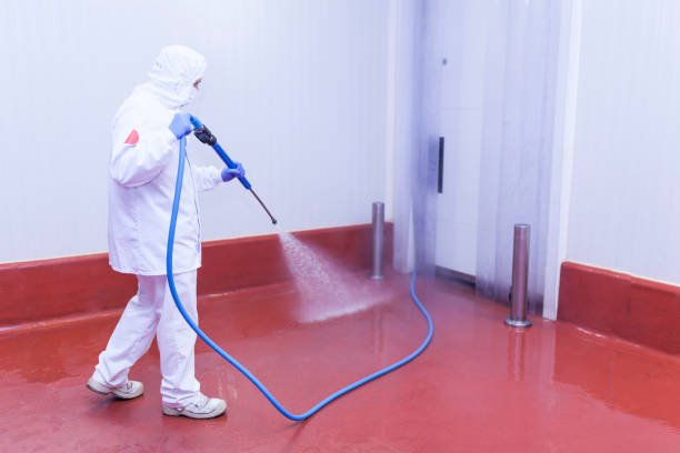 Best Building Exterior Washing  in Jarrell, TX